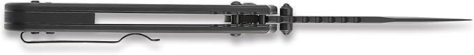Ganzo G768PT-BK EDC Folding Pocket Knife Razor Sharp D2 Stainless Steel Black Blade G10 Handle with Clip Outdoor Foldable Pocket Knife Hunting Fishing Hiking Gear Best Gift for Men (Black)