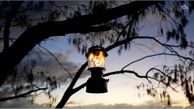 Coleman Powerhouse Dual Fuel Lantern - Up to 800 Lumens, 2-Mantle Design with Adjustable Brightness