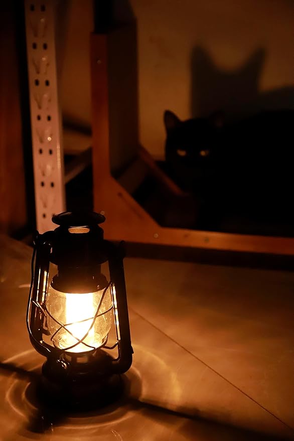 YAKii LED Vintage Lantern Metal Hanging Hurricane Lantern 12 LED Dimmer Switch Warm White Battery Operated Lantern Power Outage Indoor Camping Lighting Outdoor Brooklyn Lantern (Black 2 Pack)