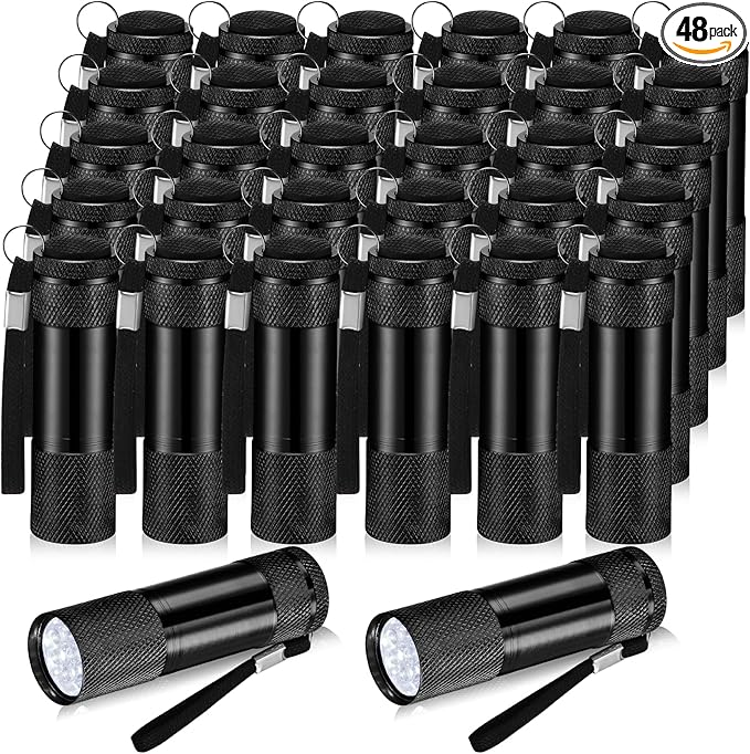 VIHOSE 48 Pcs Mini Flashlights Bulk, Bright Aluminum Handheld Flash Light with Lanyard, Small LED Flashlights for Kids Night Reading Emergency Hurricane Camping Hiking Party Favors(Black)
