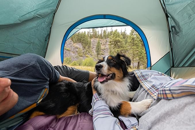 Coleman Skydome Tent with 5 Minute Setup,Weatherproof Tent with Rainfly & Carry Bag, 20% More Headroom Than Traditional Canopies