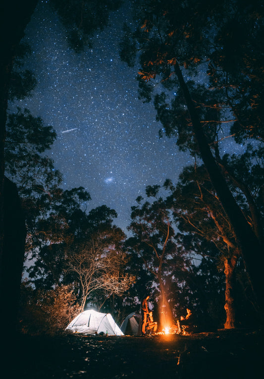 How to Enjoy Camping in Spring, Summer, Fall, and Winter