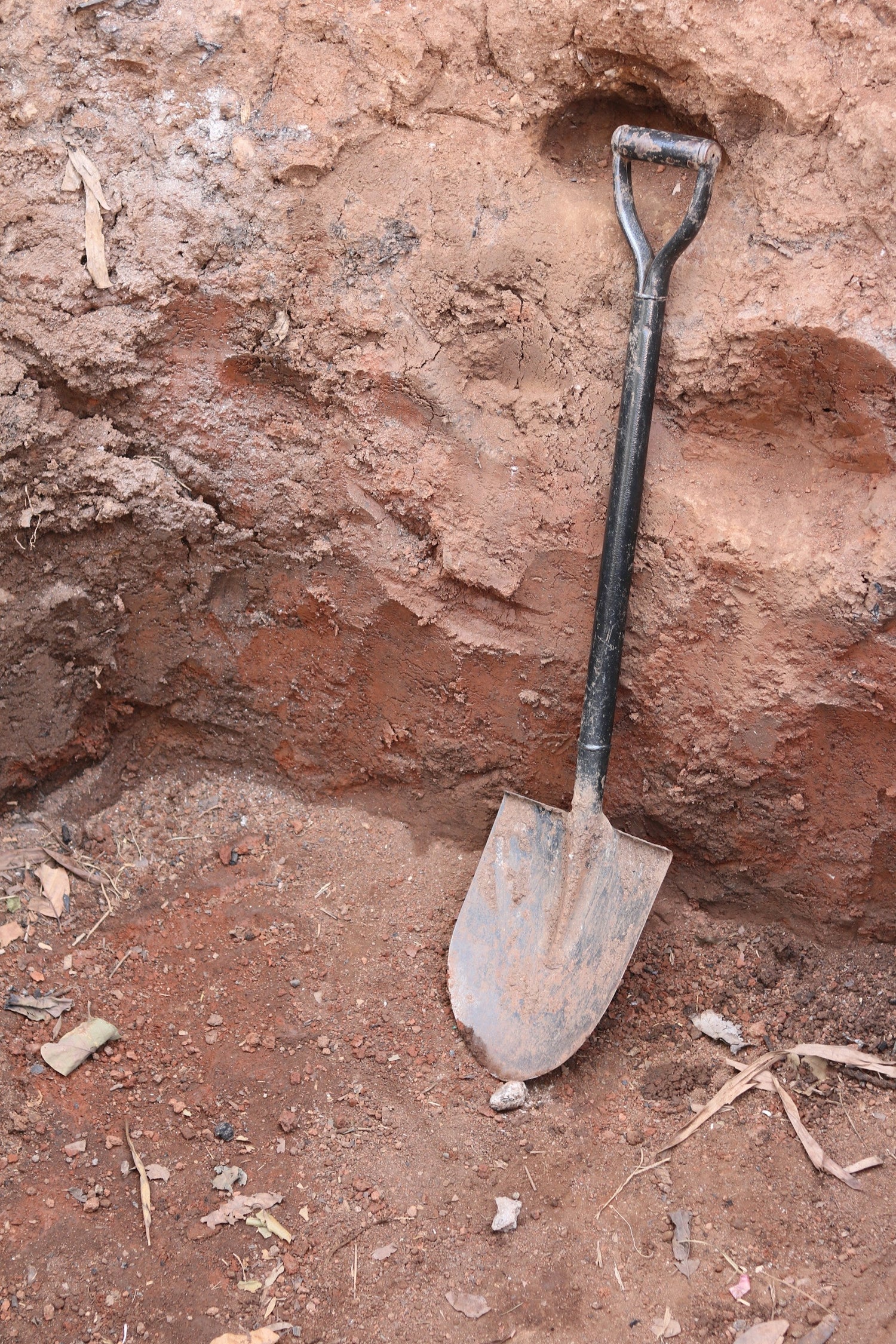 Durable-camping-shovels-for-digging-trenching-and-survival-tasks-lightweight-and-compact-for-hiking-backpacking-and-outdoor-adventures