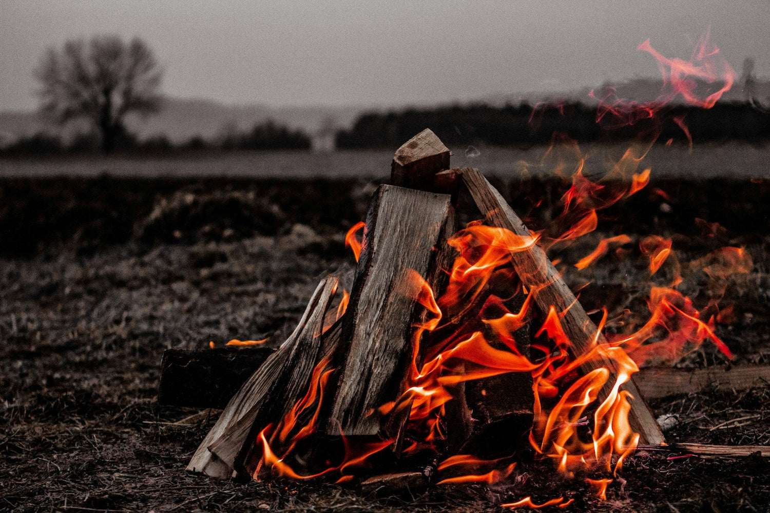 High-quality-fire-starters-for-camping-hiking-and-survival-Shop-reliable-easy-to-use-fire-starting-tools-at-Campin-Mihee-Shop-for-your-next-outdoor-adventure.