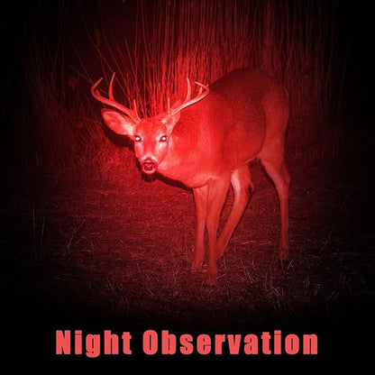 Honoson 16 Pieces Red Flashlight LED Single Mode Light One Mode LED Torch Scalable Red Light Flashlight for Astronomy Aviation Night Observation