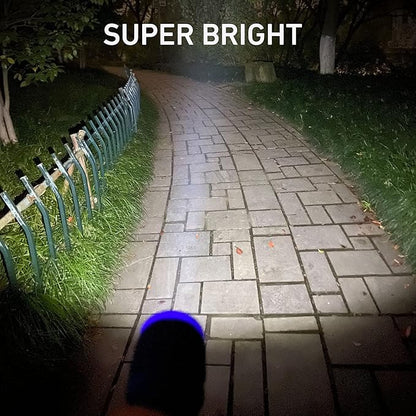 10-Pack Professional Outdoor Mini Flashlights Set, Super Bright 100 Lumen LED Flashlights for Kids, Small Flashlights Pack with 30-Piece AAA Dry Batteries Included